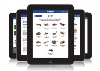 Importance of Adelaide Pest Control