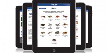 Importance of Adelaide Pest Control