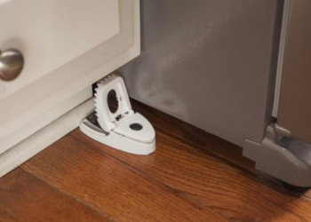 The Three-Step Guide to Getting Rid of Mice in Your Home