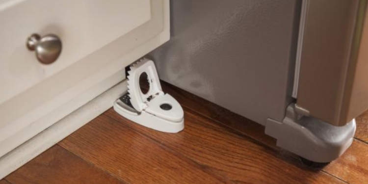 The Three-Step Guide to Getting Rid of Mice in Your Home