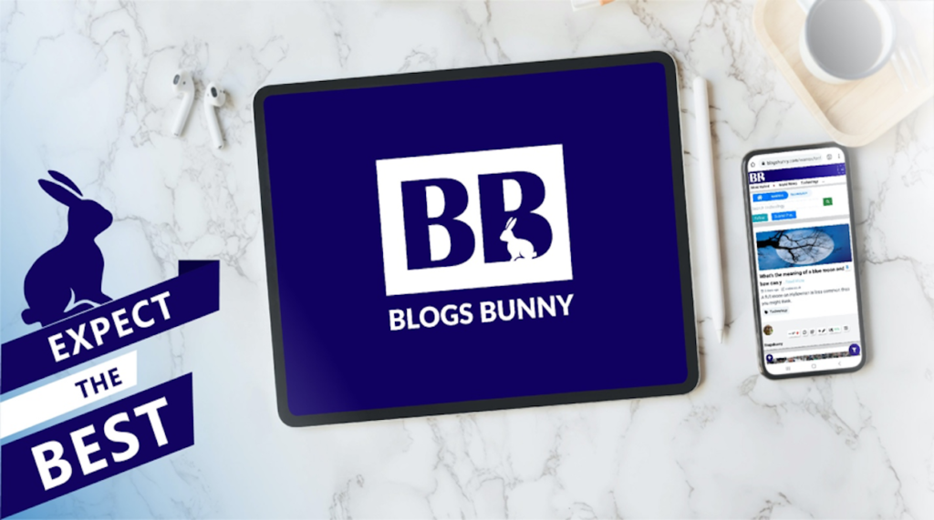 A Review of BlogsBunny