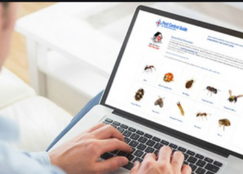 Best tips for pest and scorpion control