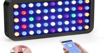 6 Factors to Consider When Buying LED Lighting