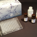 How to Obtain Optimal ELISA Results 7 Tips for Consistent, Accurate Measurements