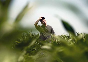 The Impact of Stefan Soloviev Why He's More Relevant Now Than Ever