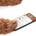 5 Ways Technology Can Improve Your Pet’s Life