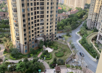 Nature and Community The Best Parks for Socializing in Singapore